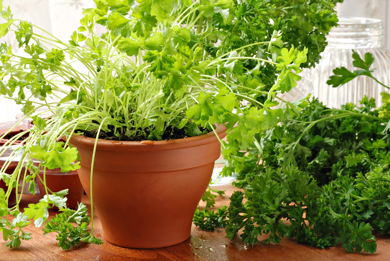 garden home