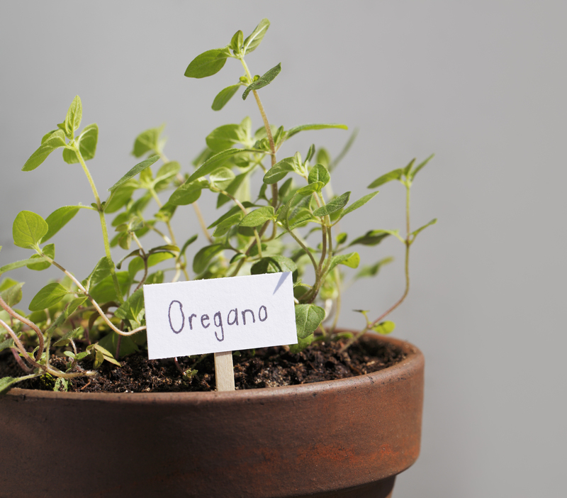 planting plants