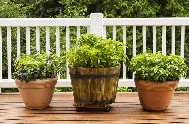lawn care lawn maintenance
